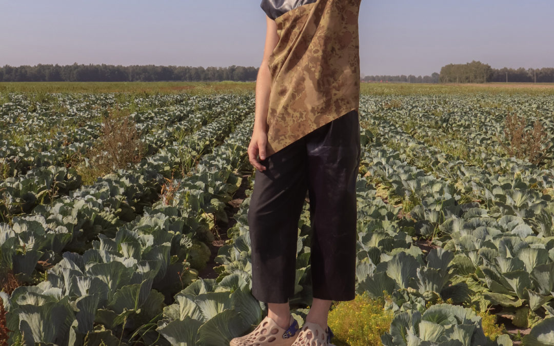 Boy in cabbage field